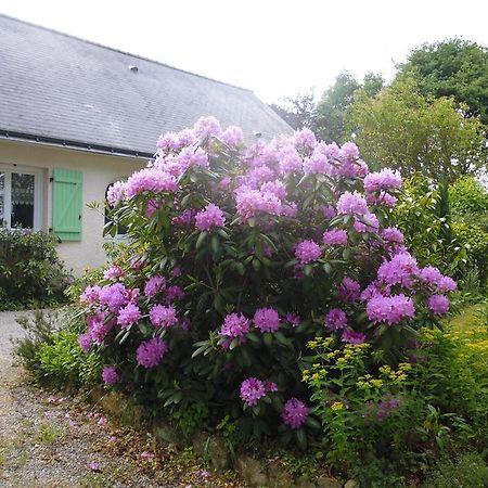 Bed and Breakfast Le Pré de la Lande La Chapelle-Sur-Erdre Exterior foto
